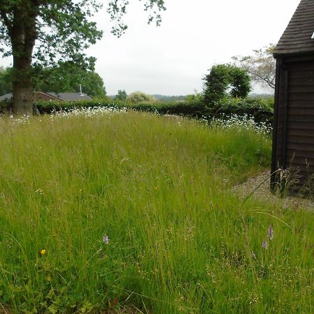 Bond'S Cottage Barn Royal Tunbridge Wells Kültér fotó