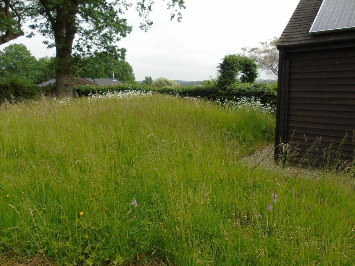 Bond'S Cottage Barn Royal Tunbridge Wells Kültér fotó